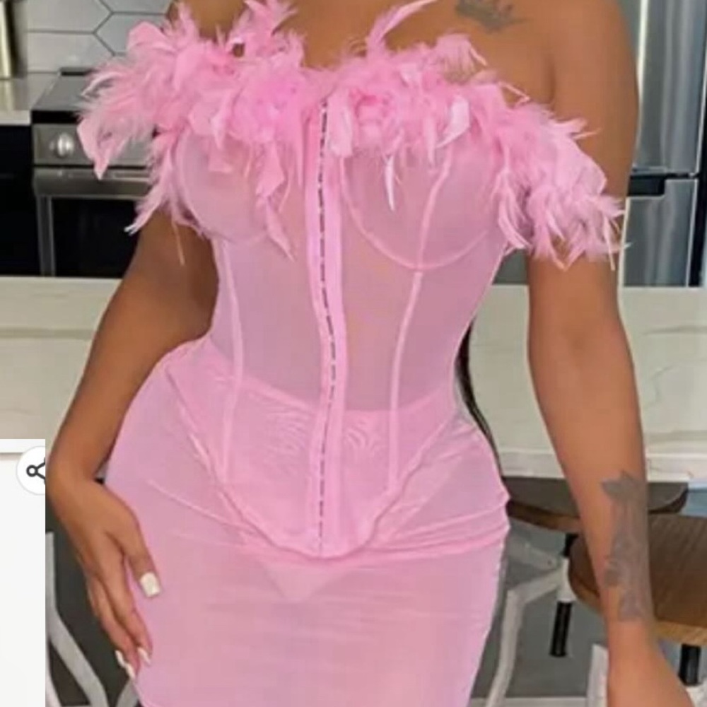 Pink Feather Corset Mesh Skirt Set